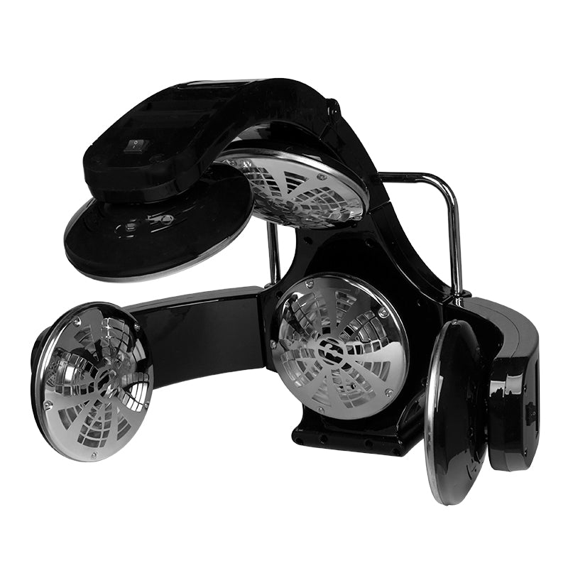 2-GABBIANO-2