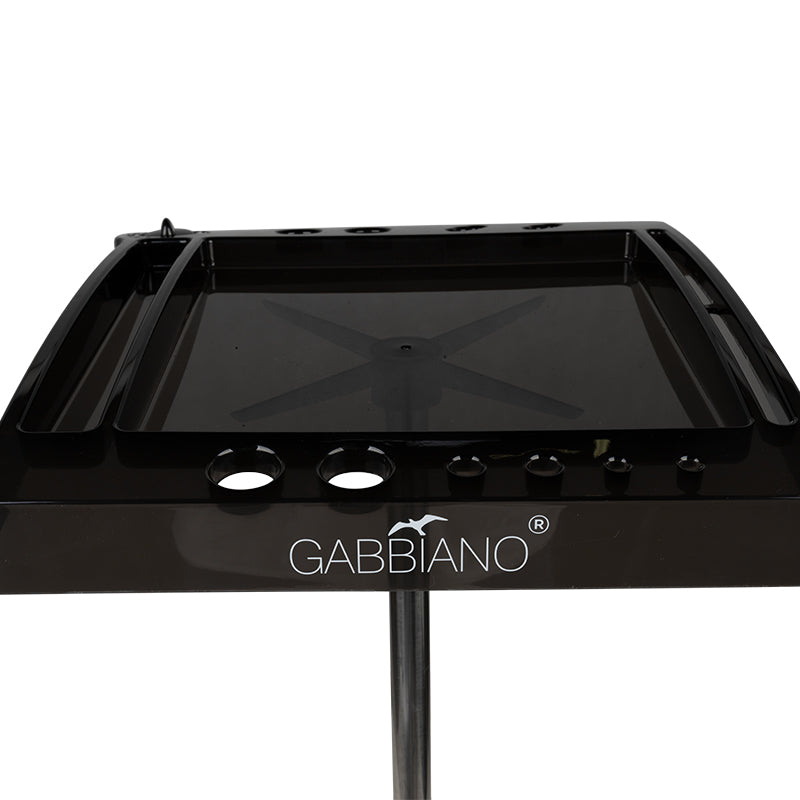 3-GABBIANO-3